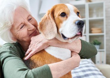 A care home manager’s guide to pet therapy