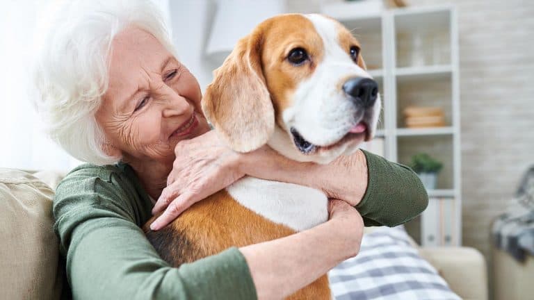 What is Pet Therapy? CareDocs Blog